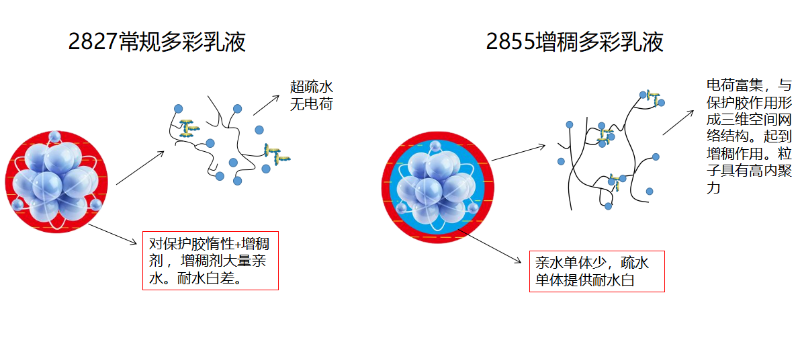 图片9