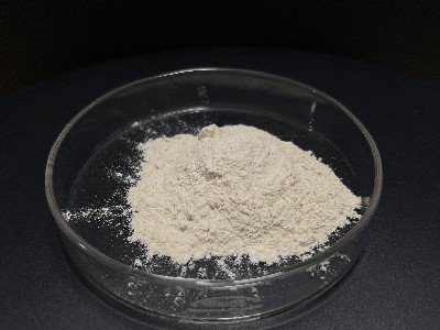 气凝胶保温隔热涂料专用分散剂2516 气凝胶保温隔热涂料专用分散剂2516